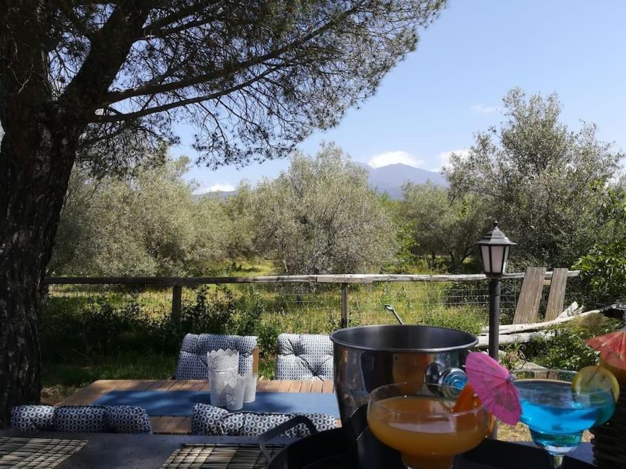 Villa Segreta, Mount Etna Belpasso Exteriér fotografie